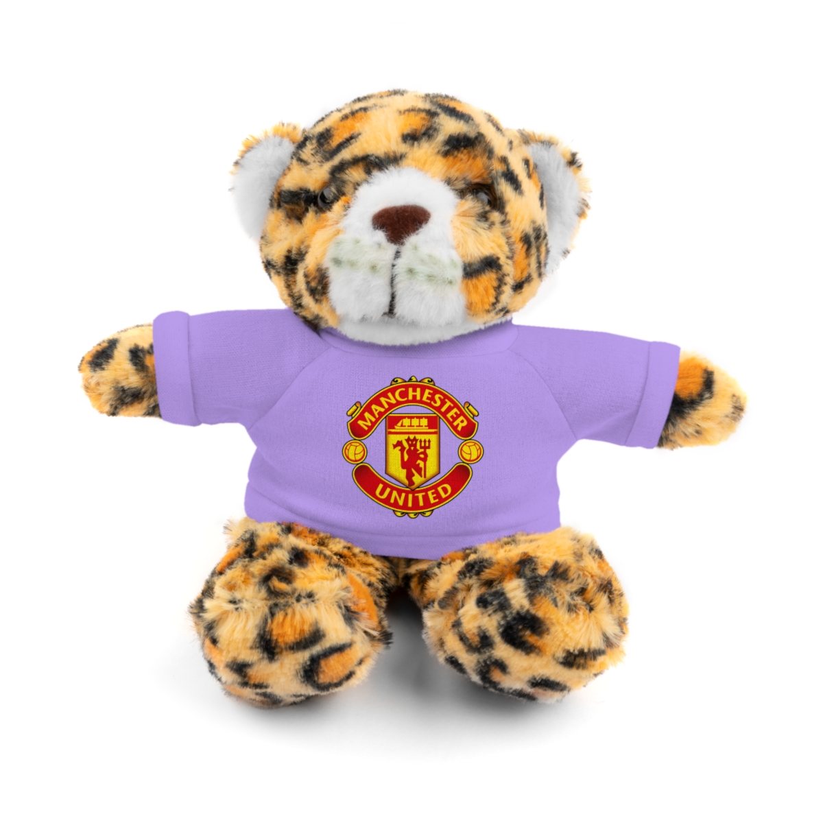 81096-6.jpg